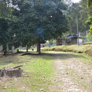 bu koye giden bir gecede milyoner oluyor Cq6SpFVW