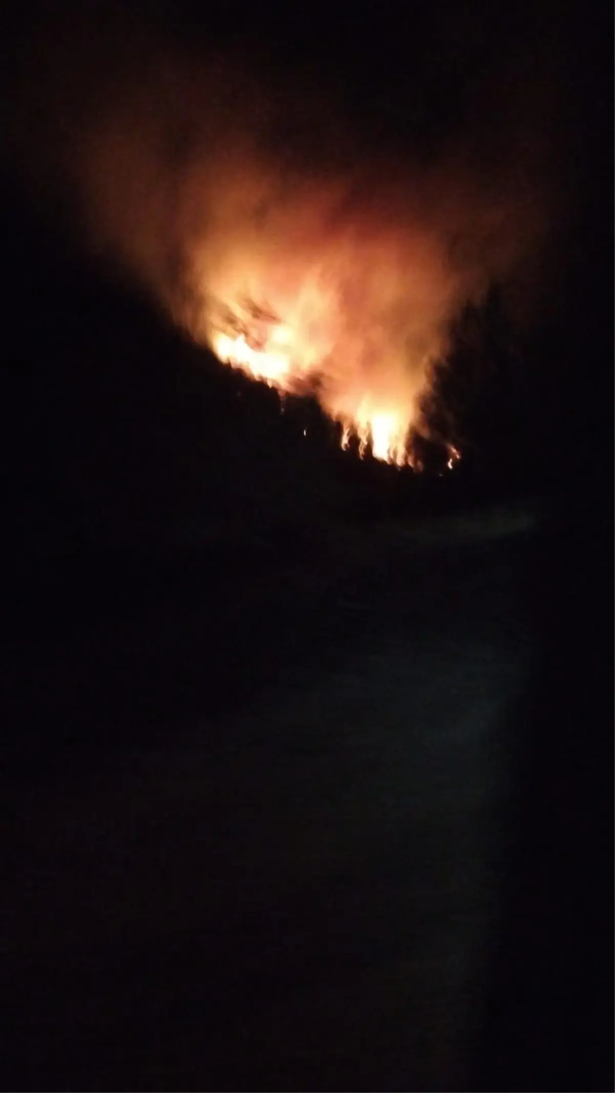 koycegizde orman yangini bNGemWjx