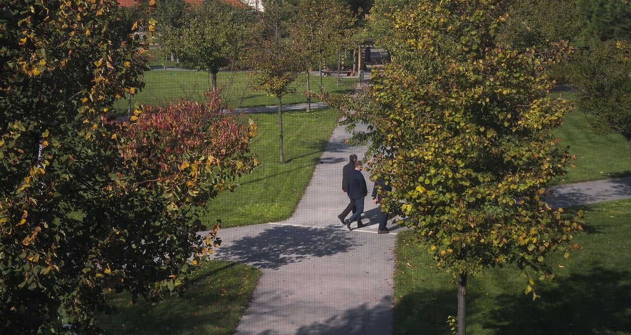 yildiz teknik universitesinde kulup ve topluluklarin kapatilmasina sert tepki f1HNZvzf