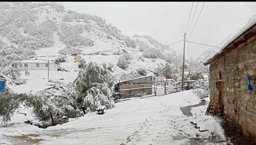 hasadi yapilmayan ceviz kar altinda kaldi SgnP8YbI.jpg