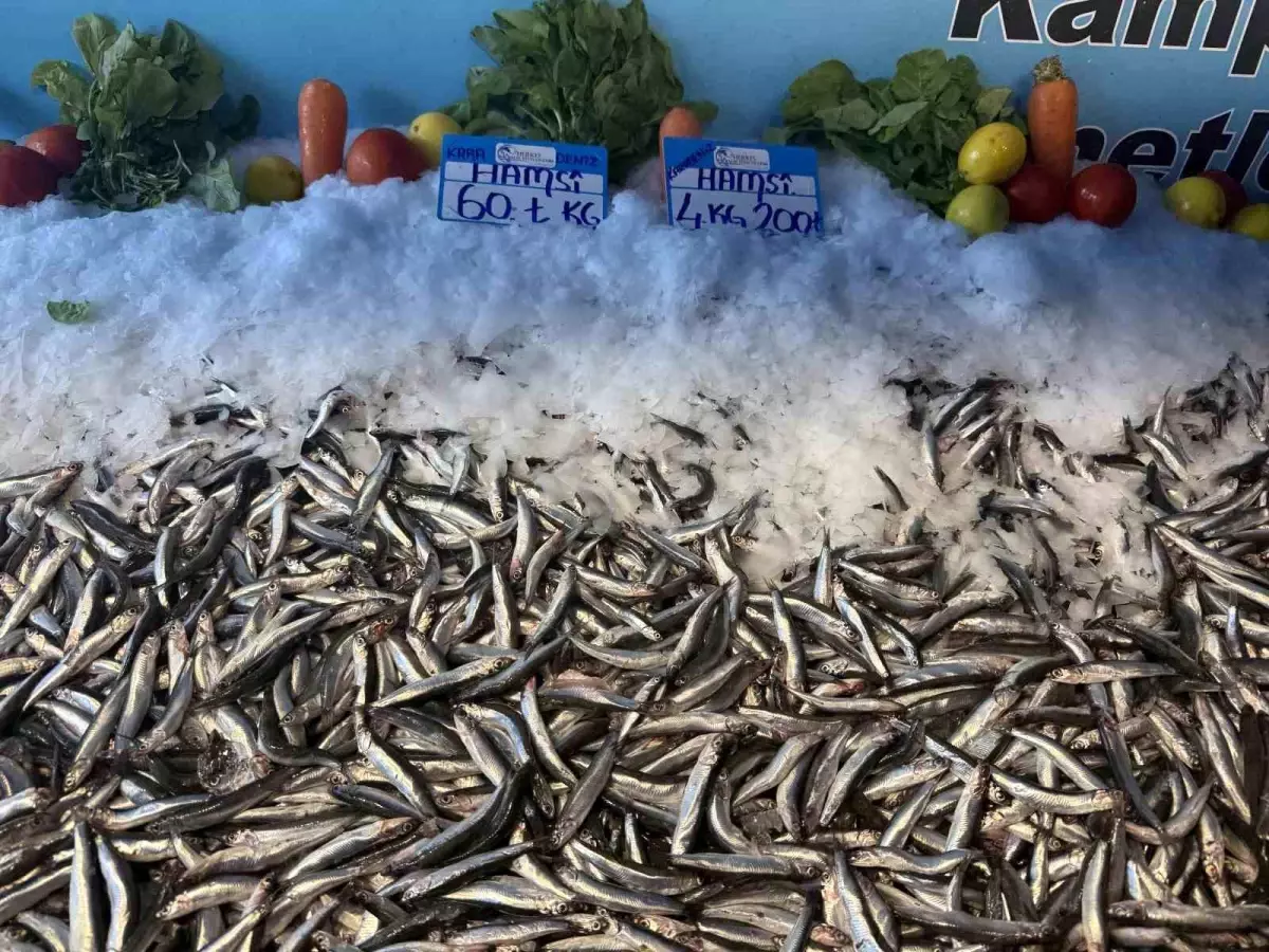 hamsinin fiyati dusmeye devam ediyor vVW16zVl.jpg