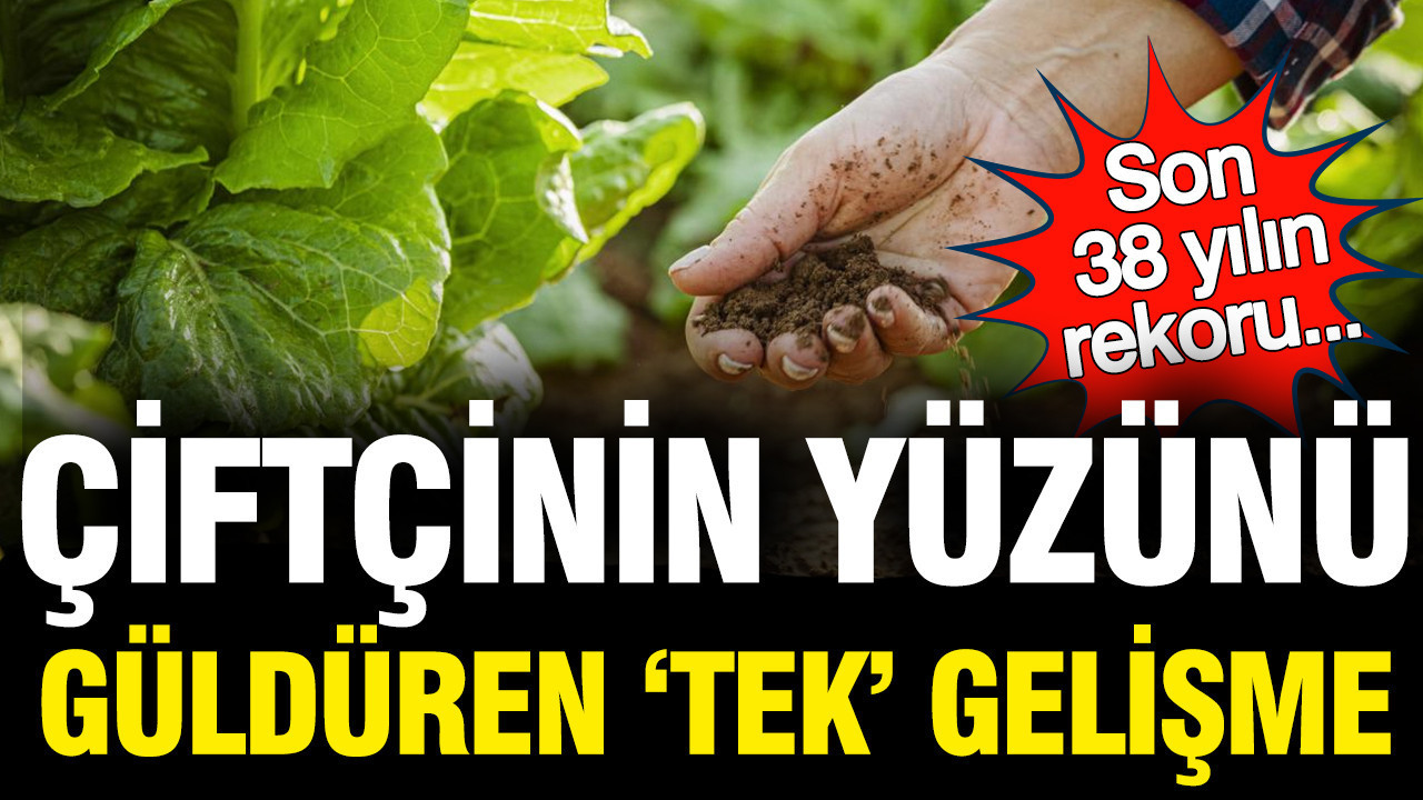 Çiftçilerin Yüzünü Güldüren Yağışlar: 38 Yılın En Yüksek Seviyesi