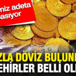 en-fazla-doviz-bulunduran-sehirler-belli-oldu-bu-illerimiz-adeta-para-basiyor-7jsgHCuH