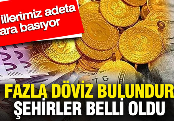 en-fazla-doviz-bulunduran-sehirler-belli-oldu-bu-illerimiz-adeta-para-basiyor-7jsgHCuH