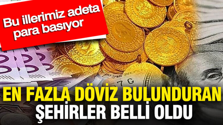 en-fazla-doviz-bulunduran-sehirler-belli-oldu-bu-illerimiz-adeta-para-basiyor-7jsgHCuH